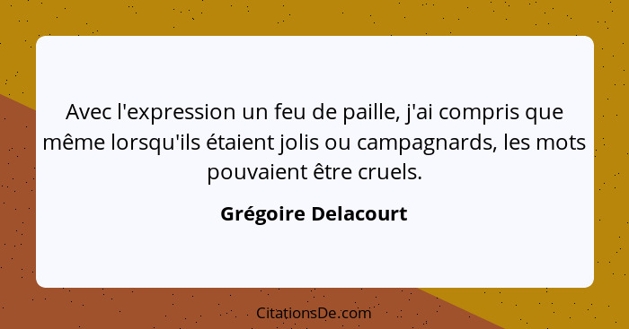 Avec l'expression un feu de paille, j'ai compris que même lorsqu'ils étaient jolis ou campagnards, les mots pouvaient être cruels... - Grégoire Delacourt