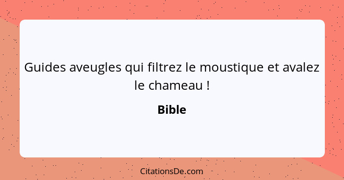 Guides aveugles qui filtrez le moustique et avalez le chameau !... - Bible