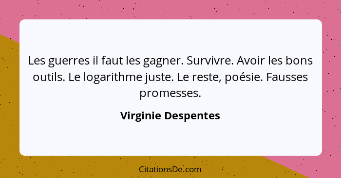 Les guerres il faut les gagner. Survivre. Avoir les bons outils. Le logarithme juste. Le reste, poésie. Fausses promesses.... - Virginie Despentes