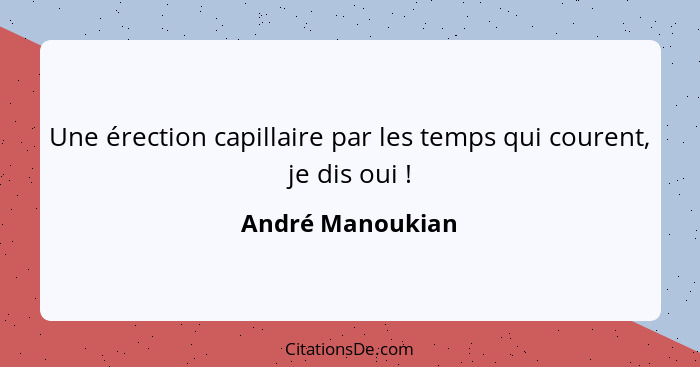 Une érection capillaire par les temps qui courent, je dis oui !... - André Manoukian