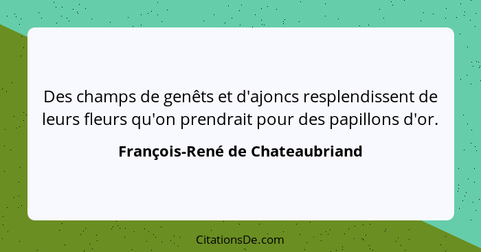 Des champs de genêts et d'ajoncs resplendissent de leurs fleurs qu'on prendrait pour des papillons d'or.... - François-René de Chateaubriand