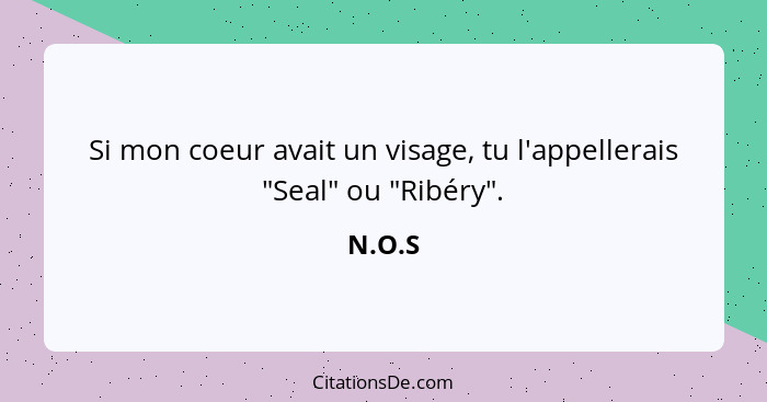 Si mon coeur avait un visage, tu l'appellerais "Seal" ou "Ribéry".... - N.O.S