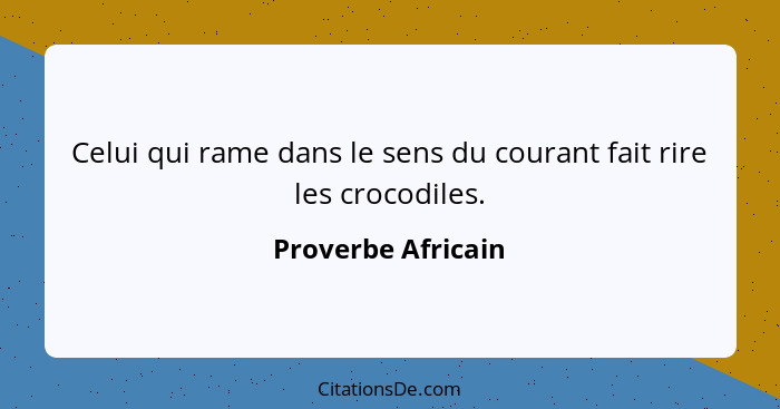 Celui qui rame dans le sens du courant fait rire les crocodiles.... - Proverbe Africain