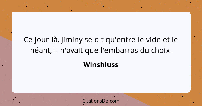 Ce jour-là, Jiminy se dit qu'entre le vide et le néant, il n'avait que l'embarras du choix.... - Winshluss