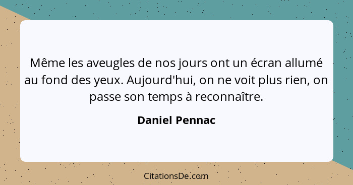 Même les aveugles de nos jours ont un écran allumé au fond des yeux. Aujourd'hui, on ne voit plus rien, on passe son temps à reconnaît... - Daniel Pennac