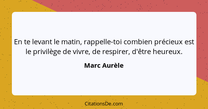 En te levant le matin, rappelle-toi combien précieux est le privilège de vivre, de respirer, d'être heureux.... - Marc Aurèle