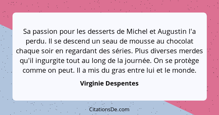 Sa passion pour les desserts de Michel et Augustin l'a perdu. Il se descend un seau de mousse au chocolat chaque soir en regardan... - Virginie Despentes