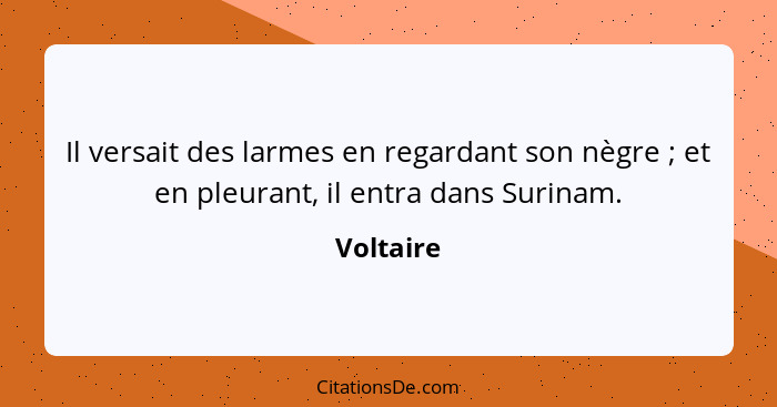 Il versait des larmes en regardant son nègre ; et en pleurant, il entra dans Surinam.... - Voltaire