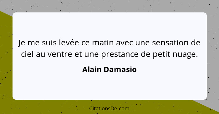 Je me suis levée ce matin avec une sensation de ciel au ventre et une prestance de petit nuage.... - Alain Damasio