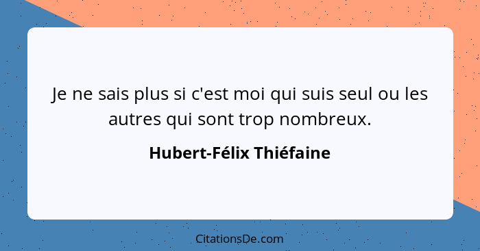 Je ne sais plus si c'est moi qui suis seul ou les autres qui sont trop nombreux.... - Hubert-Félix Thiéfaine