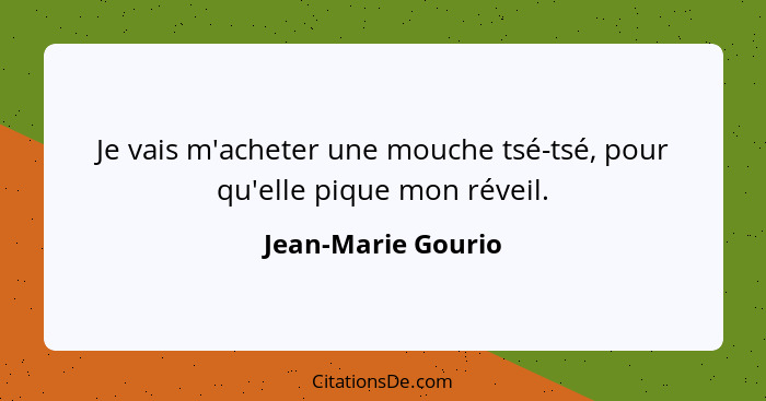 Je vais m'acheter une mouche tsé-tsé, pour qu'elle pique mon réveil.... - Jean-Marie Gourio