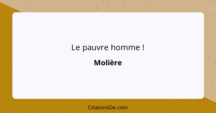 Le pauvre homme !... - Molière