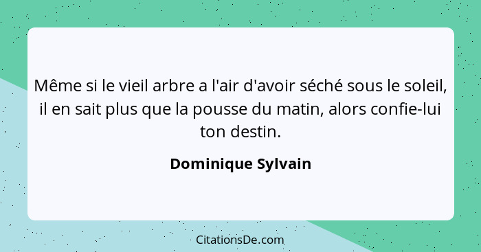 Même si le vieil arbre a l'air d'avoir séché sous le soleil, il en sait plus que la pousse du matin, alors confie-lui ton destin.... - Dominique Sylvain