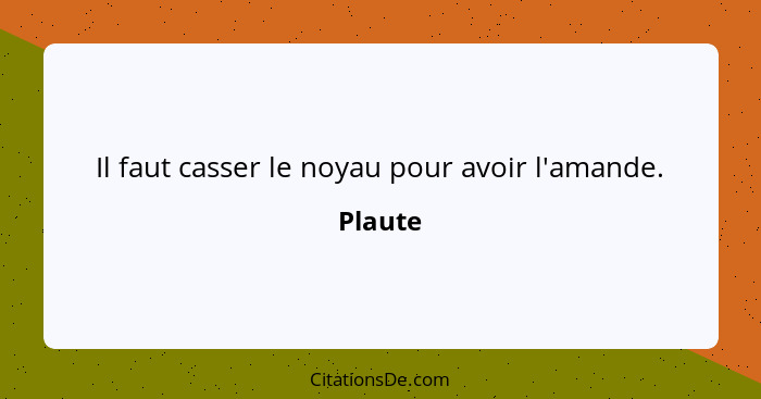 Il faut casser le noyau pour avoir l'amande.... - Plaute