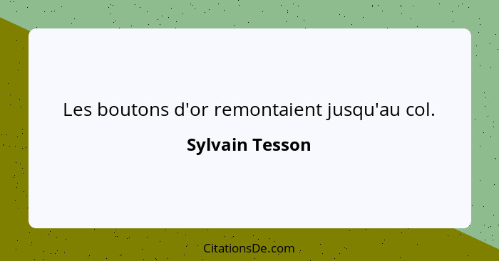 Les boutons d'or remontaient jusqu'au col.... - Sylvain Tesson