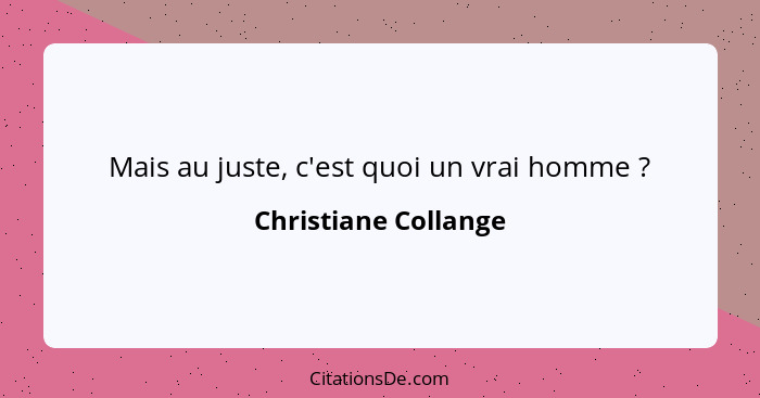 Mais au juste, c'est quoi un vrai homme ?... - Christiane Collange