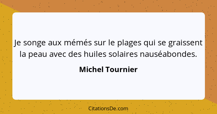 Je songe aux mémés sur le plages qui se graissent la peau avec des huiles solaires nauséabondes.... - Michel Tournier