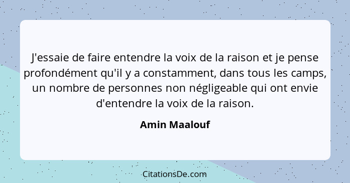 J'essaie de faire entendre la voix de la raison et je pense profondément qu'il y a constamment, dans tous les camps, un nombre de perso... - Amin Maalouf