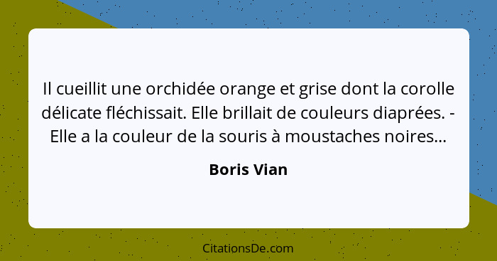 Il cueillit une orchidée orange et grise dont la corolle délicate fléchissait. Elle brillait de couleurs diaprées. - Elle a la couleur de... - Boris Vian