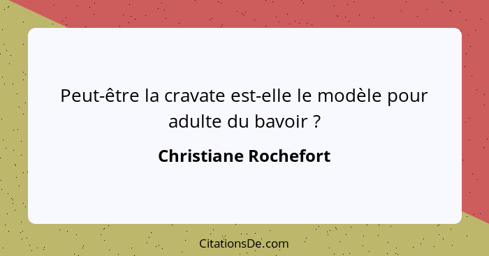 Peut-être la cravate est-elle le modèle pour adulte du bavoir ?... - Christiane Rochefort