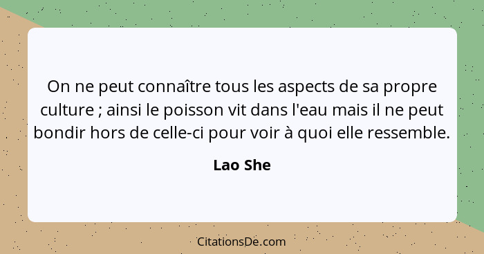 On ne peut connaître tous les aspects de sa propre culture ; ainsi le poisson vit dans l'eau mais il ne peut bondir hors de celle-ci po... - Lao She