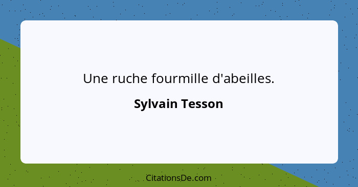 Une ruche fourmille d'abeilles.... - Sylvain Tesson