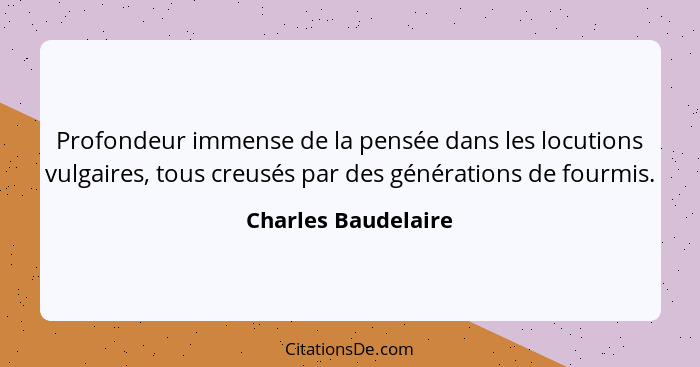 Profondeur immense de la pensée dans les locutions vulgaires, tous creusés par des générations de fourmis.... - Charles Baudelaire