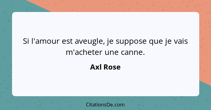 Si l'amour est aveugle, je suppose que je vais m'acheter une canne.... - Axl Rose