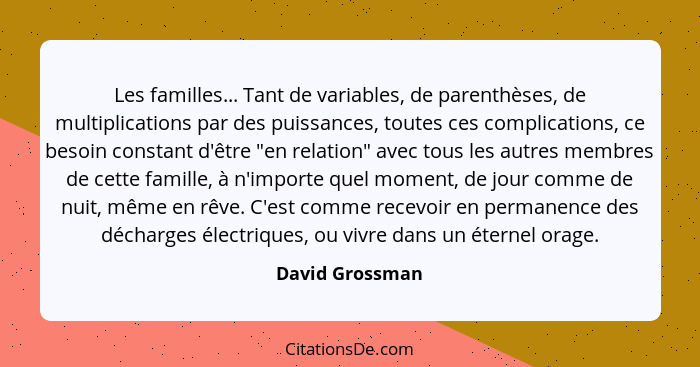 Les familles... Tant de variables, de parenthèses, de multiplications par des puissances, toutes ces complications, ce besoin constan... - David Grossman