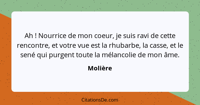 Ah ! Nourrice de mon coeur, je suis ravi de cette rencontre, et votre vue est la rhubarbe, la casse, et le sené qui purgent toute la mé... - Molière