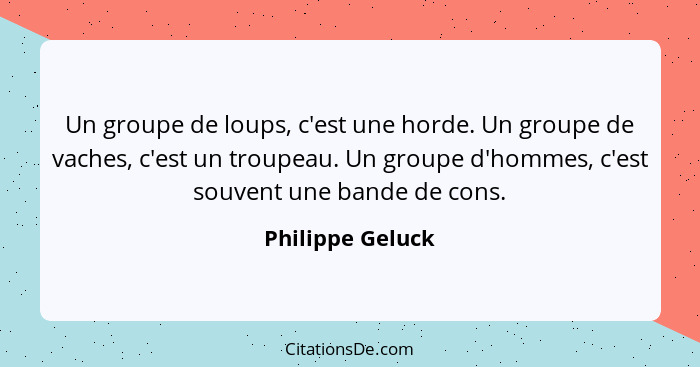 Un groupe de loups, c'est une horde. Un groupe de vaches, c'est un troupeau. Un groupe d'hommes, c'est souvent une bande de cons.... - Philippe Geluck