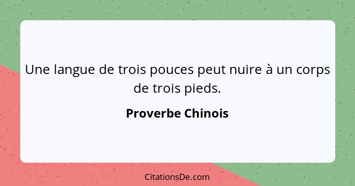 Une langue de trois pouces peut nuire à un corps de trois pieds.... - Proverbe Chinois