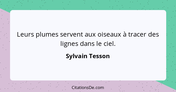 Leurs plumes servent aux oiseaux à tracer des lignes dans le ciel.... - Sylvain Tesson