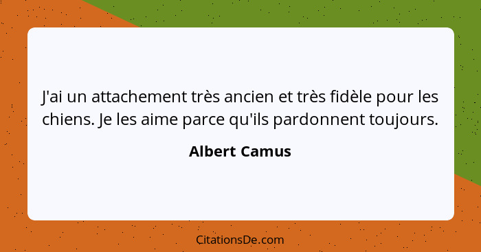 J'ai un attachement très ancien et très fidèle pour les chiens. Je les aime parce qu'ils pardonnent toujours.... - Albert Camus