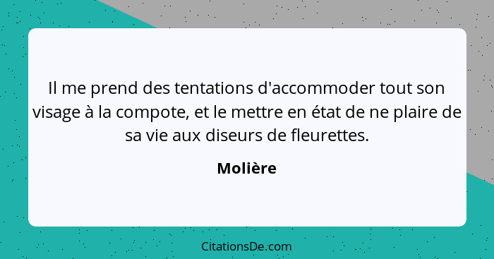 Il me prend des tentations d'accommoder tout son visage à la compote, et le mettre en état de ne plaire de sa vie aux diseurs de fleurettes.... - Molière