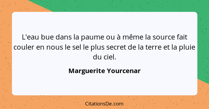 L'eau bue dans la paume ou à même la source fait couler en nous le sel le plus secret de la terre et la pluie du ciel.... - Marguerite Yourcenar