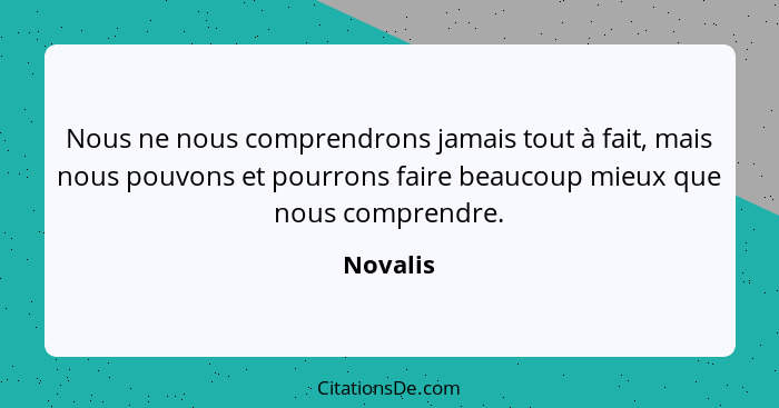 Nous ne nous comprendrons jamais tout à fait, mais nous pouvons et pourrons faire beaucoup mieux que nous comprendre.... - Novalis