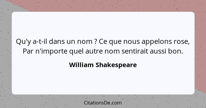 Qu'y a-t-il dans un nom ? Ce que nous appelons rose, Par n'importe quel autre nom sentirait aussi bon.... - William Shakespeare