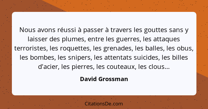 Nous avons réussi à passer à travers les gouttes sans y laisser des plumes, entre les guerres, les attaques terroristes, les roquette... - David Grossman