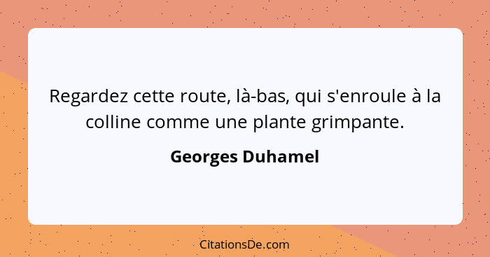 Regardez cette route, là-bas, qui s'enroule à la colline comme une plante grimpante.... - Georges Duhamel