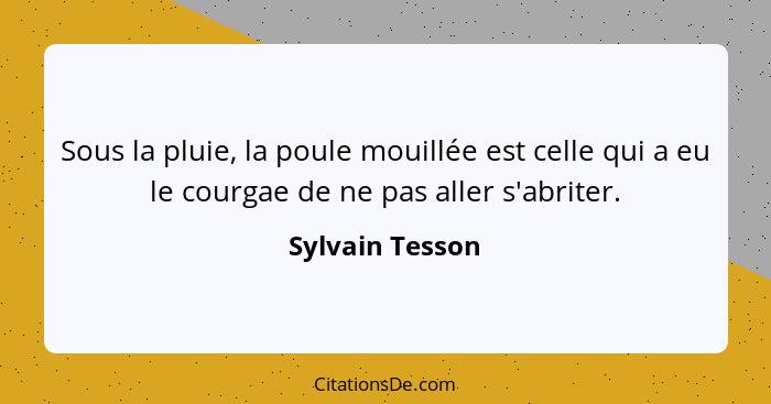 Sous la pluie, la poule mouillée est celle qui a eu le courgae de ne pas aller s'abriter.... - Sylvain Tesson