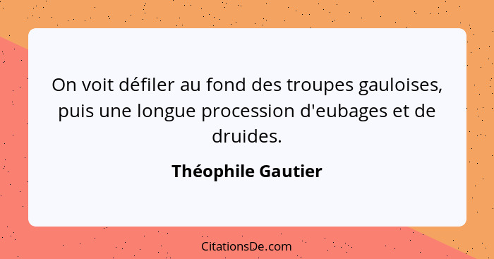 On voit défiler au fond des troupes gauloises, puis une longue procession d'eubages et de druides.... - Théophile Gautier