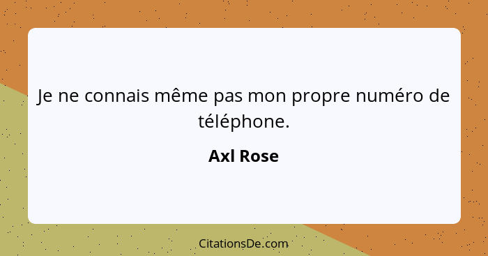 Je ne connais même pas mon propre numéro de téléphone.... - Axl Rose