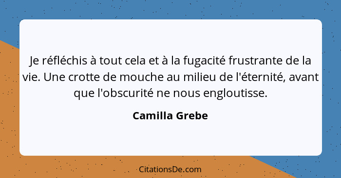 Je réfléchis à tout cela et à la fugacité frustrante de la vie. Une crotte de mouche au milieu de l'éternité, avant que l'obscurité ne... - Camilla Grebe