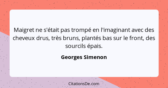 Maigret ne s'était pas trompé en l'imaginant avec des cheveux drus, très bruns, plantés bas sur le front, des sourcils épais.... - Georges Simenon