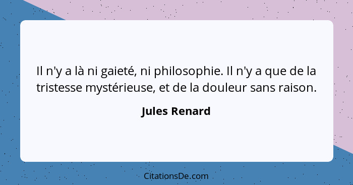 Il n'y a là ni gaieté, ni philosophie. Il n'y a que de la tristesse mystérieuse, et de la douleur sans raison.... - Jules Renard