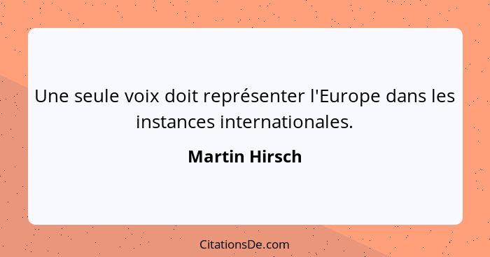 Une seule voix doit représenter l'Europe dans les instances internationales.... - Martin Hirsch