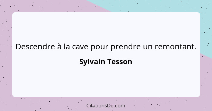 Descendre à la cave pour prendre un remontant.... - Sylvain Tesson