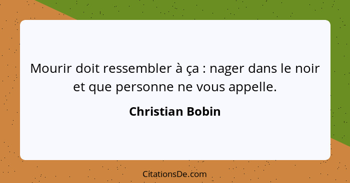 Mourir doit ressembler à ça : nager dans le noir et que personne ne vous appelle.... - Christian Bobin