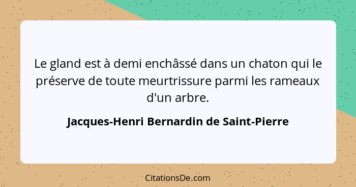 Le gland est à demi enchâssé dans un chaton qui le préserve de toute meurtrissure parmi les rameaux d'un arb... - Jacques-Henri Bernardin de Saint-Pierre